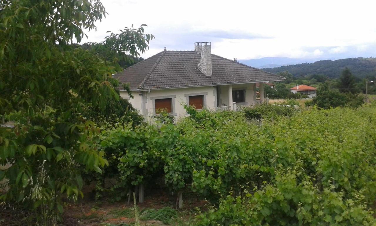 Villa Con Piscina En Panton Ribeira Sacra Galicia Ideal Para Familias Екстериор снимка